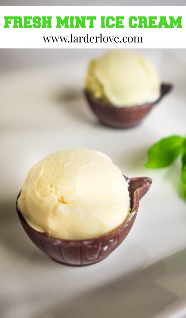 Homemade Fresh Mint Icecream (using mint leaves) Larder Love