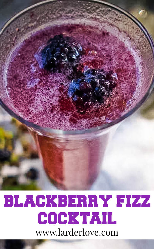 Blackberry Fizz Forager's Cocktail Larder Love
