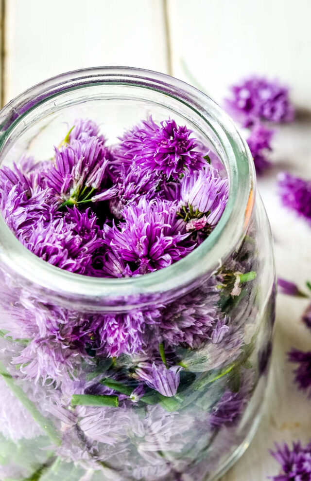 Delicious And Easy homemade Chive Vinegar Larder Love