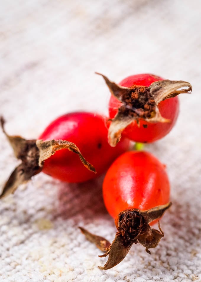 Rose Hip Jelly from Wild or Garden Roses (Low Sugar)