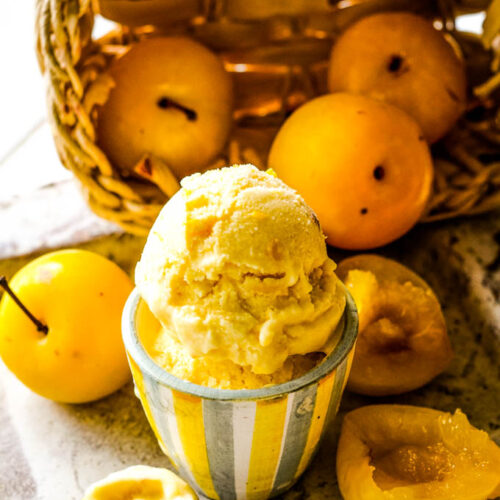 Spicy Golden Plum (Mirabelle) IceCream Larder Love