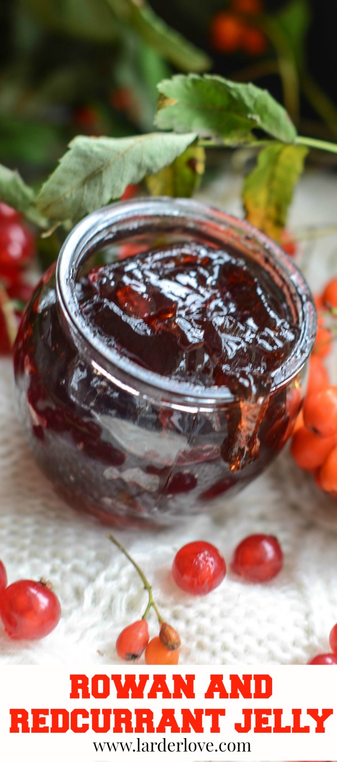 Rowan Berry Jelly With Redcurrants Larder Love