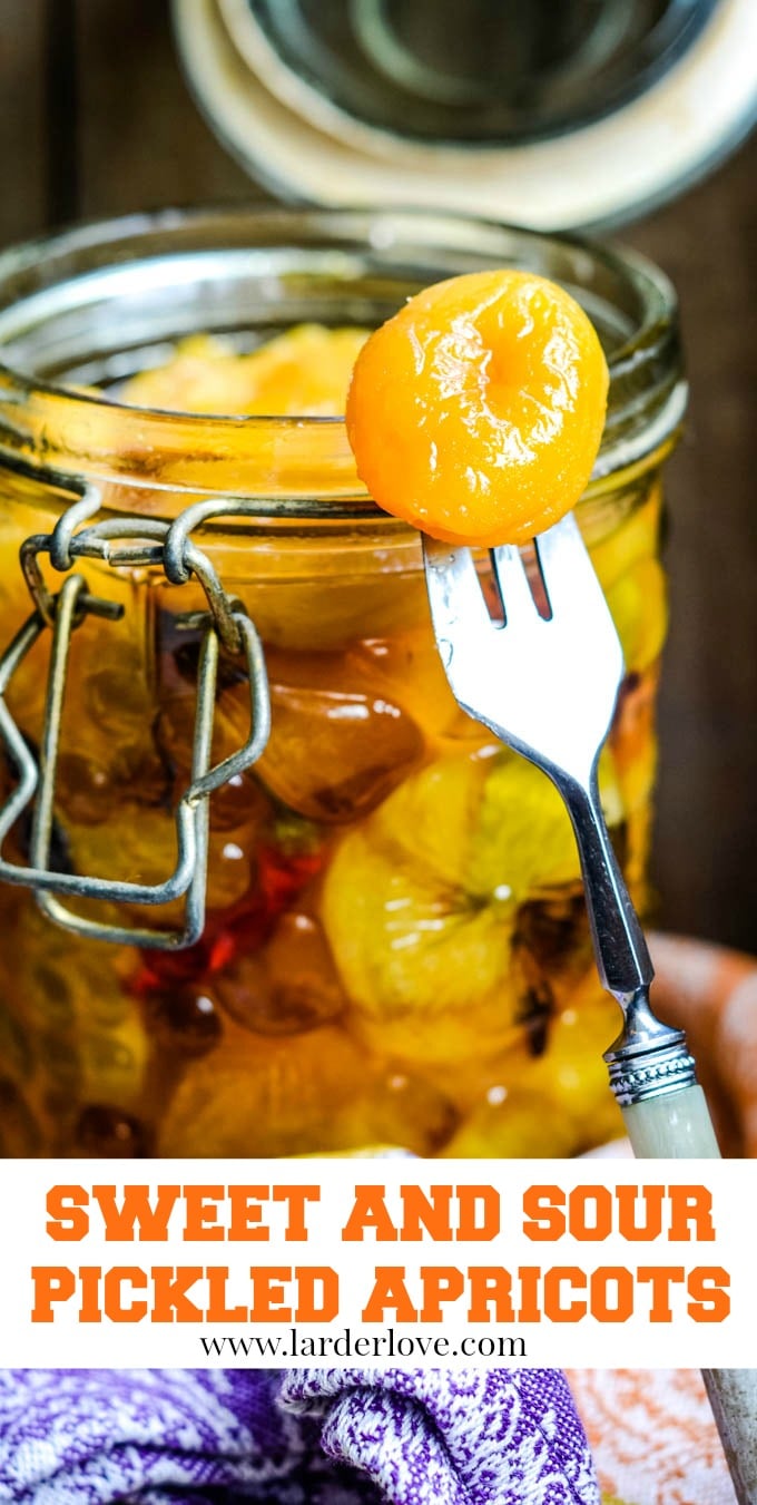Sweet and Sour Pickled Dried Apricots Larder Love