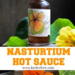 nasturtium hot sauce by larderlove