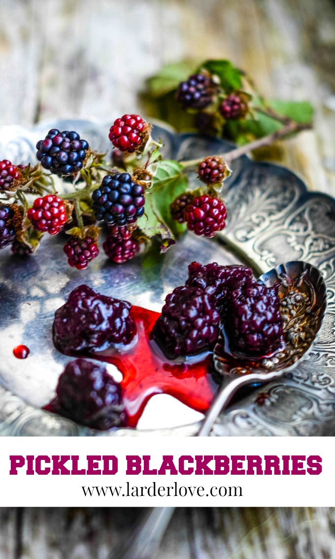 Sweet and Sour Pickled Blackberries Larder Love