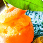 clementine sorbet pin image