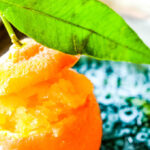 clementine sorbet pin image