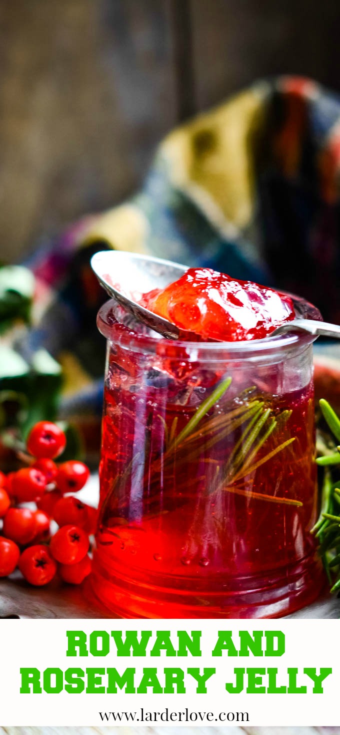 Rowan Berry Jelly With Rosemary Larder Love