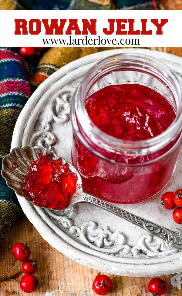 Easy Homemade Rowan Berry Jelly Larder Love