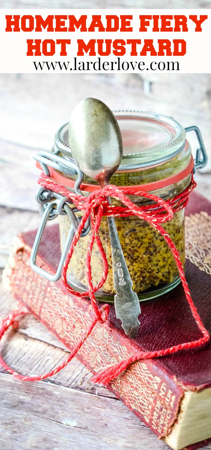 Super easy Homemade Fiery Hot Mustard Larder Love