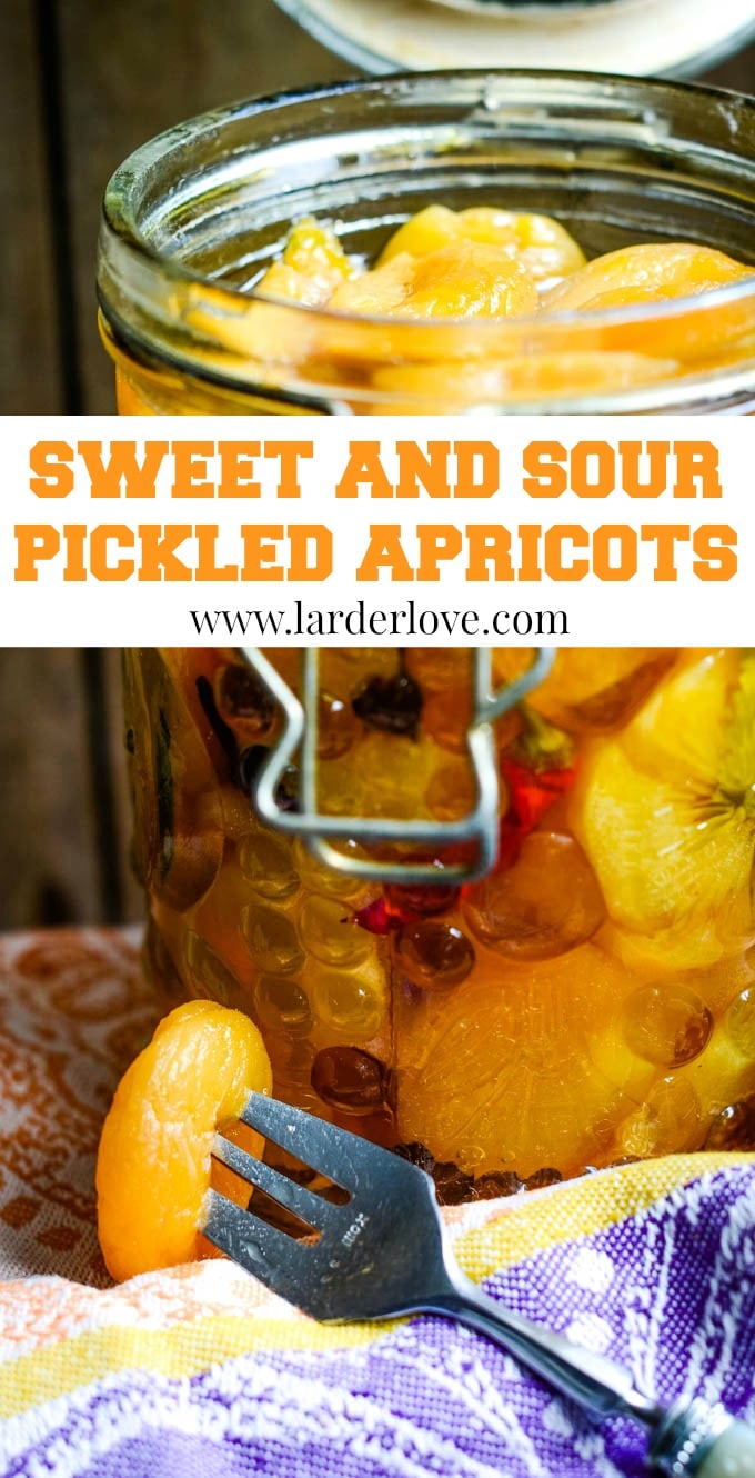 Sweet and Sour Pickled Dried Apricots Larder Love