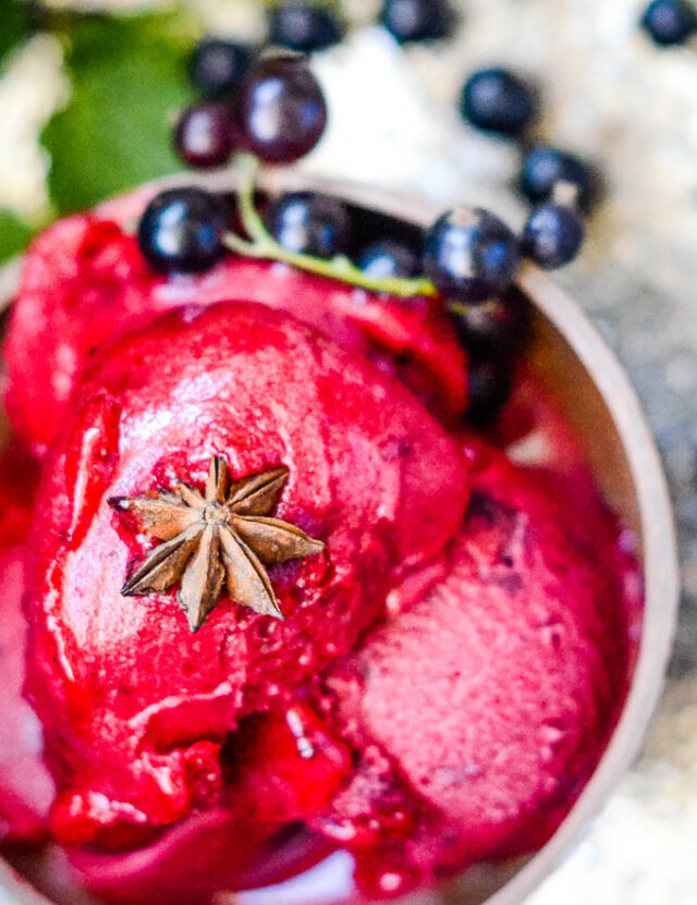 Spiced Blackcurrant Sorbet Larder Love
