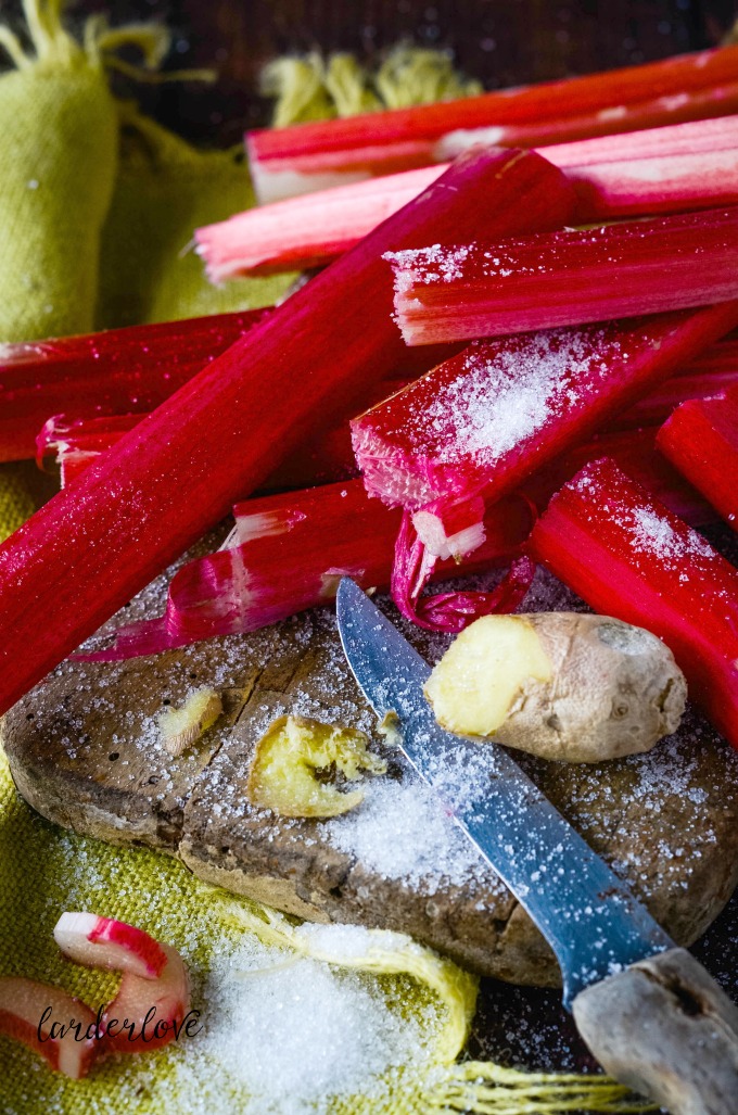 super easy recipe for homemade rhubarb and ginger gin by larderlove