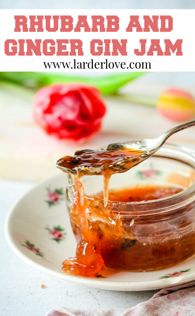 rhubarb and ginger gin jam pin image
