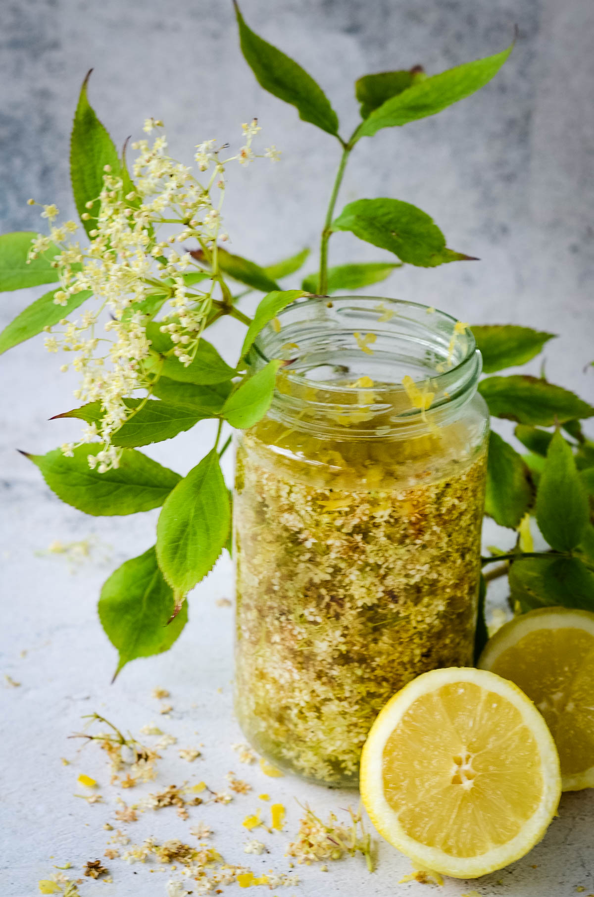 Homemade Elderflower Liqueur Recipe Larder Love