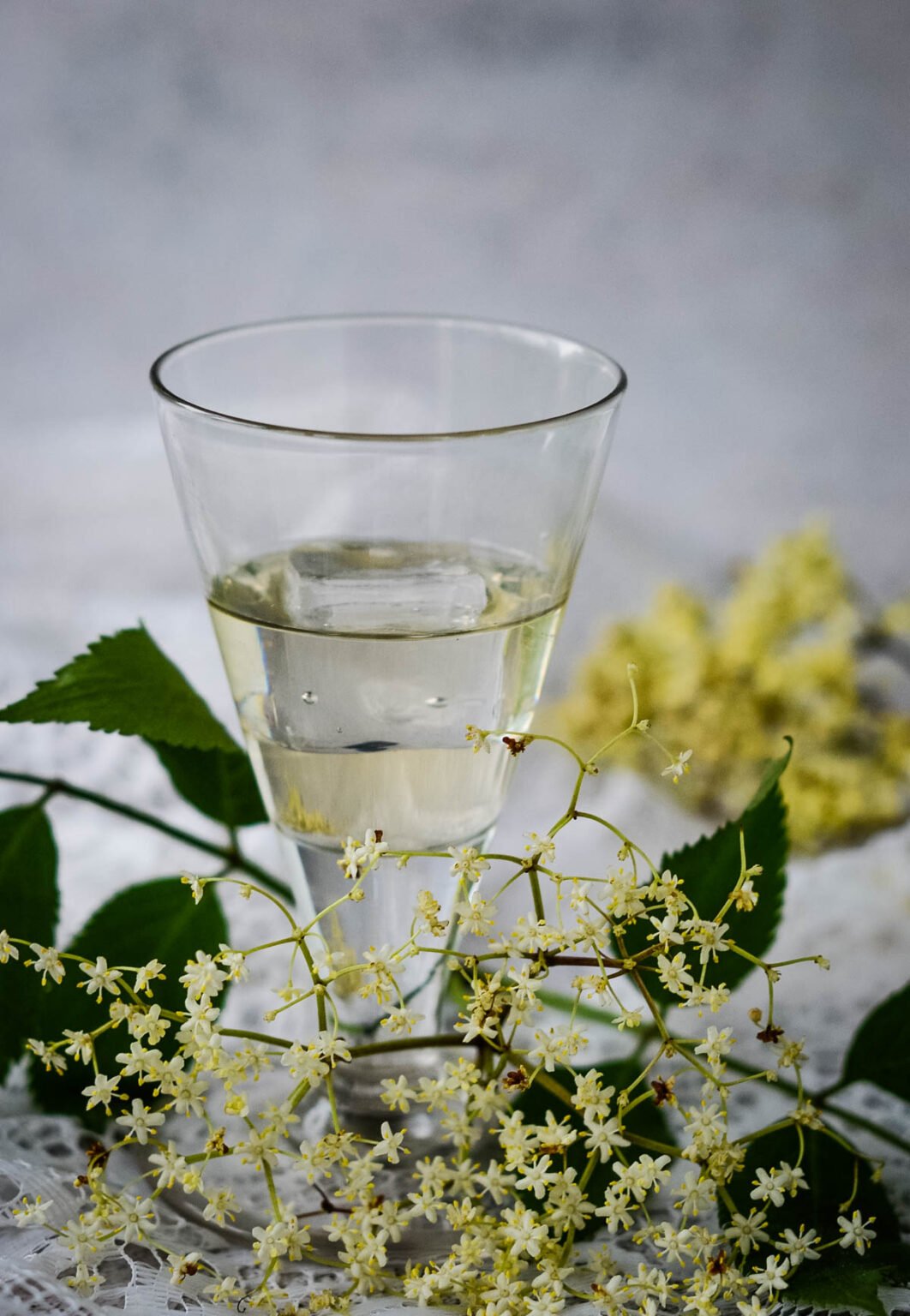 Homemade Elderflower Liqueur Recipe Larder Love