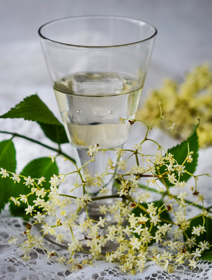 homemade elderflower liqueur