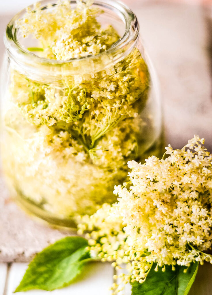Homemade Elderflower Liqueur Recipe Larder Love