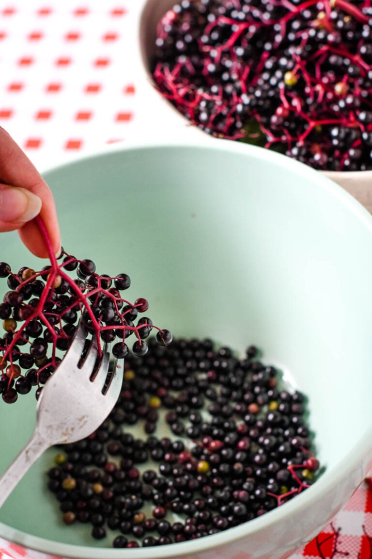 Easy Homemade Elderberry Jam 3 Ingredients And No Pectin Larder Love