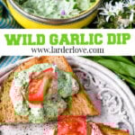 Wild Garlic Dip