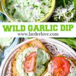 Wild Garlic Dip