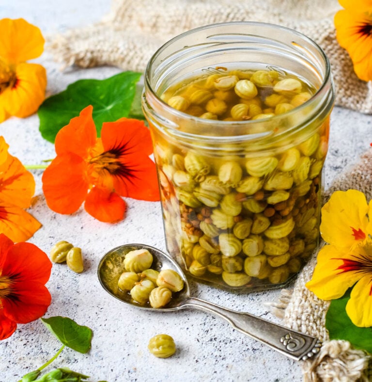 nasturtium caper in jar