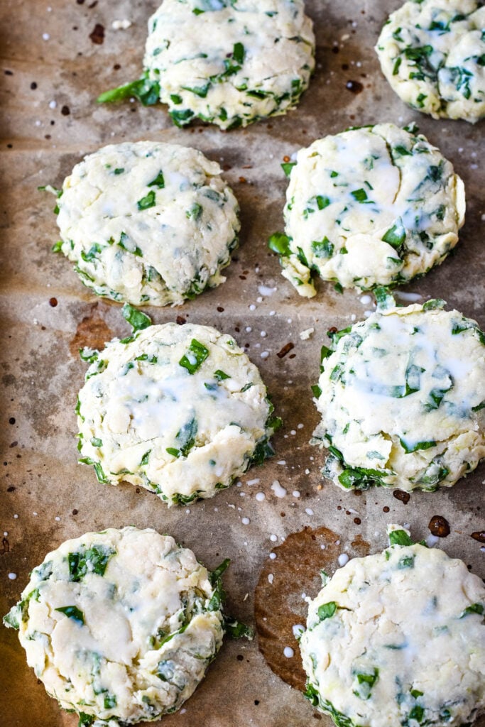 scones cut out and ready to go into the oven